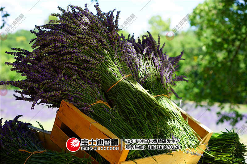 薰衣草香精