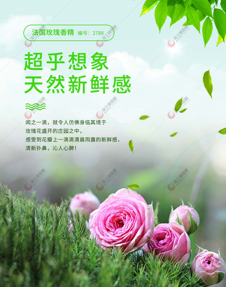法国玫瑰香精超乎想象天然新鲜感